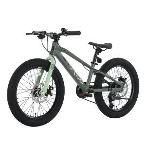 20 inch Kids Bicycle with Wide Tires